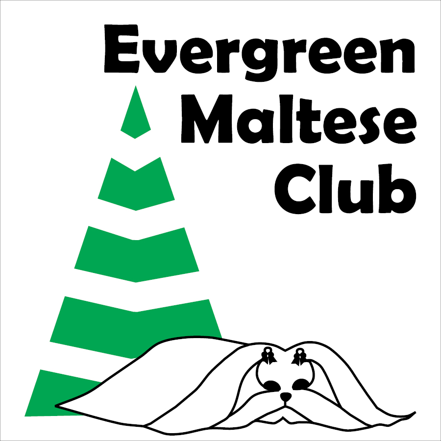Evergreen Maltese Club